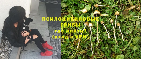 скорость Балабаново